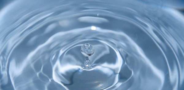 Wasser: Die Urkraft, die heilt