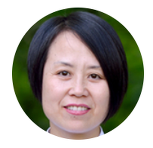 Profilbild von Li Chen