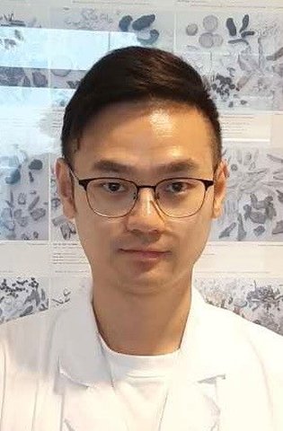Profilbild von Ning Ding